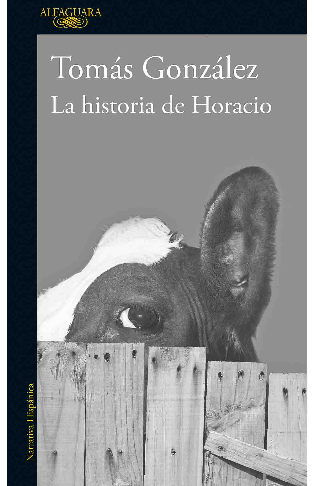 Tomás González literatura colombiana